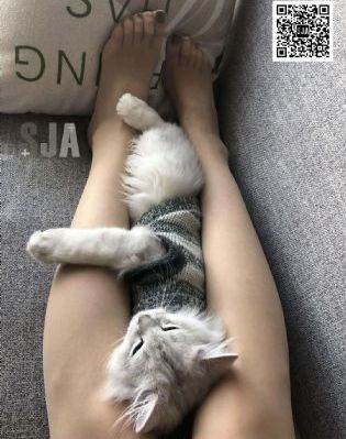 中文激情_4K全集在線觀看