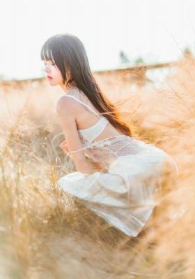 國產高清a∨在線_DVD視頻大全
